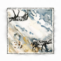 SILK SCARF